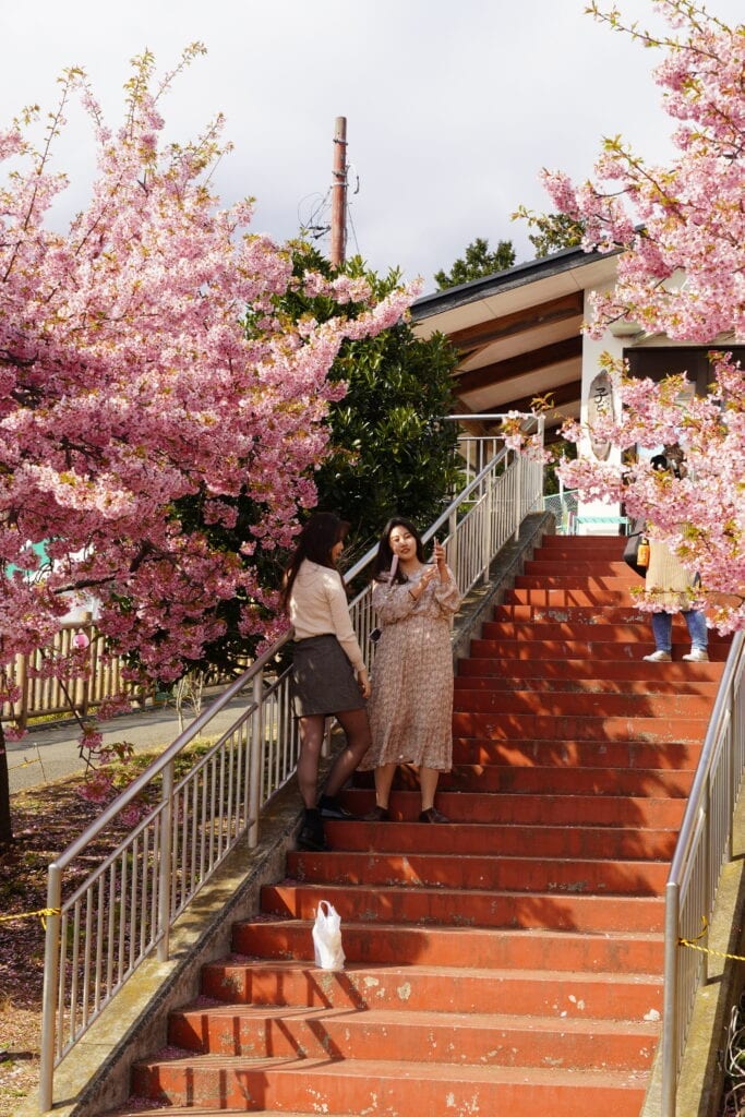 Dos chicas disfrutando del hanami tomándose fotos