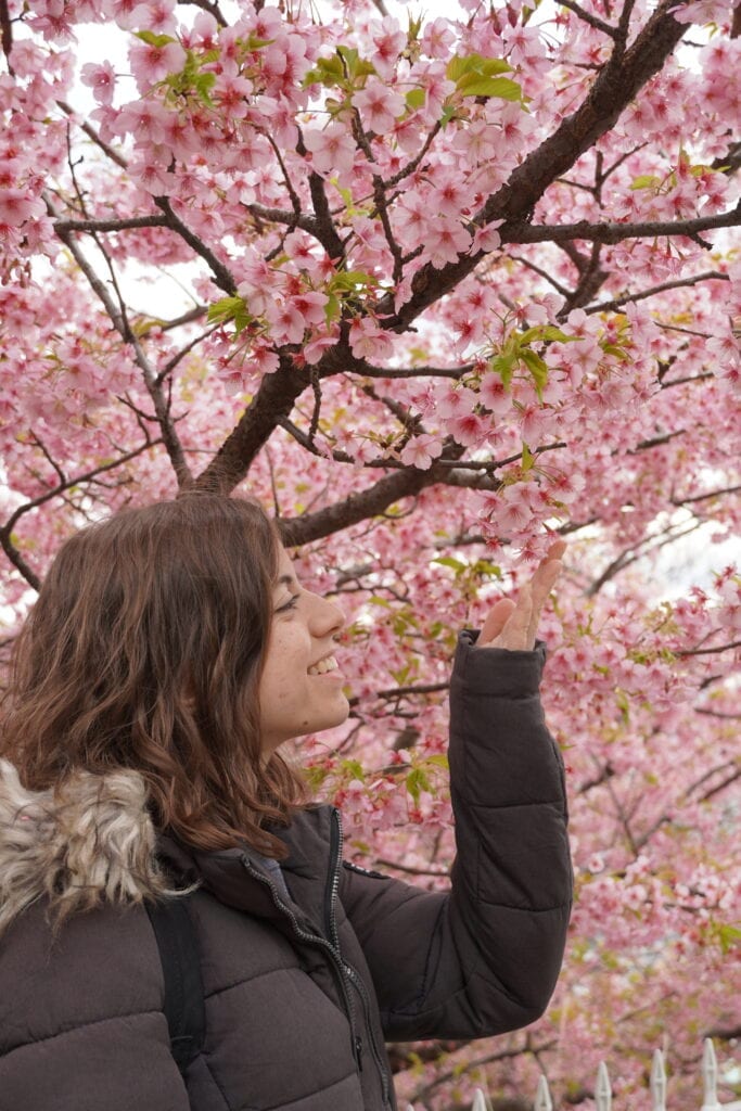 Chica haciendo hanami con las flores del sakura