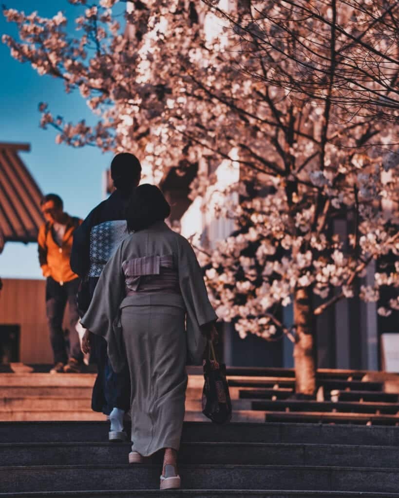 Persona japonesa con kimono paseando a lo largo de los árboles del cerezo