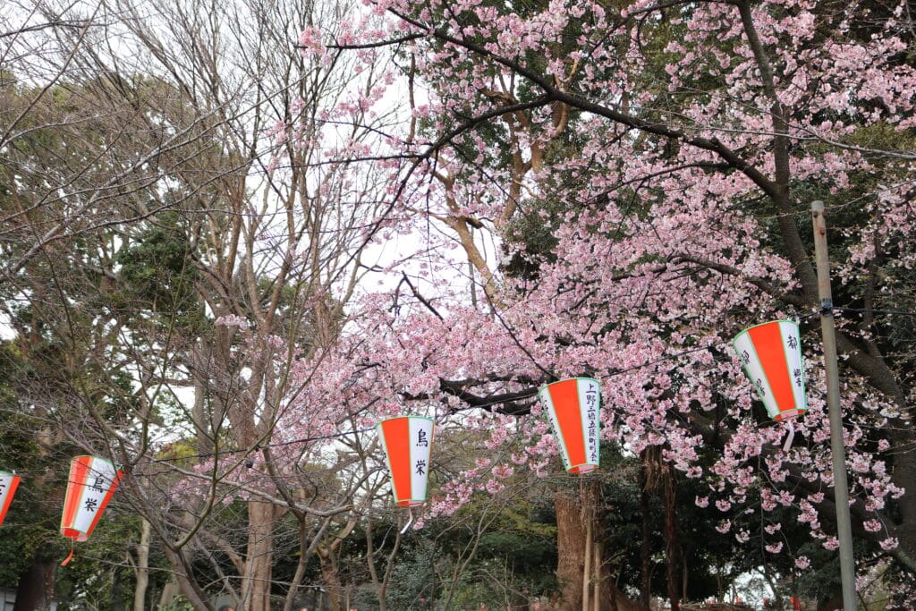 Los farolillos representativos de un hanami
