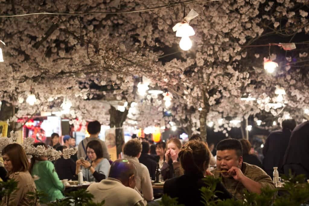 Hanami: Comiendo bajo las flores del cerezo en Kioto