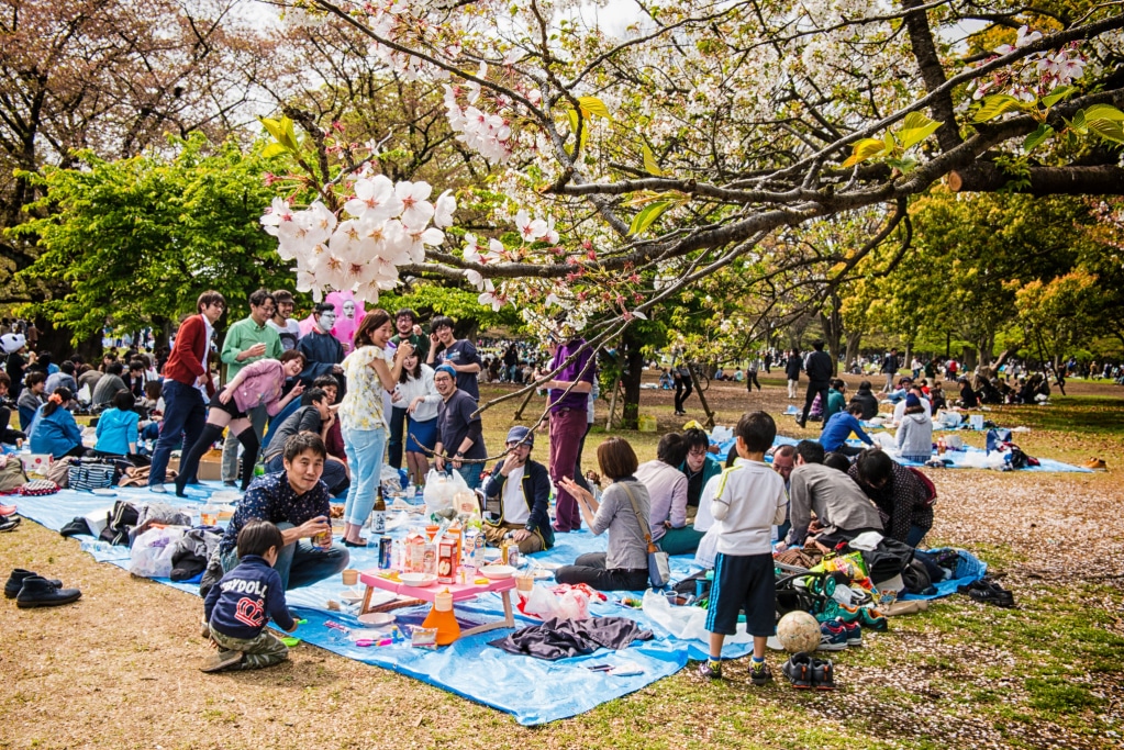 Un grupo de amigos haciendo un hanami en Japón