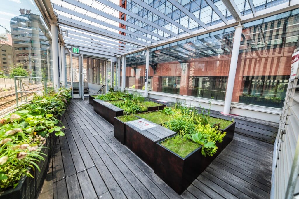 Terraza de Manseibashi