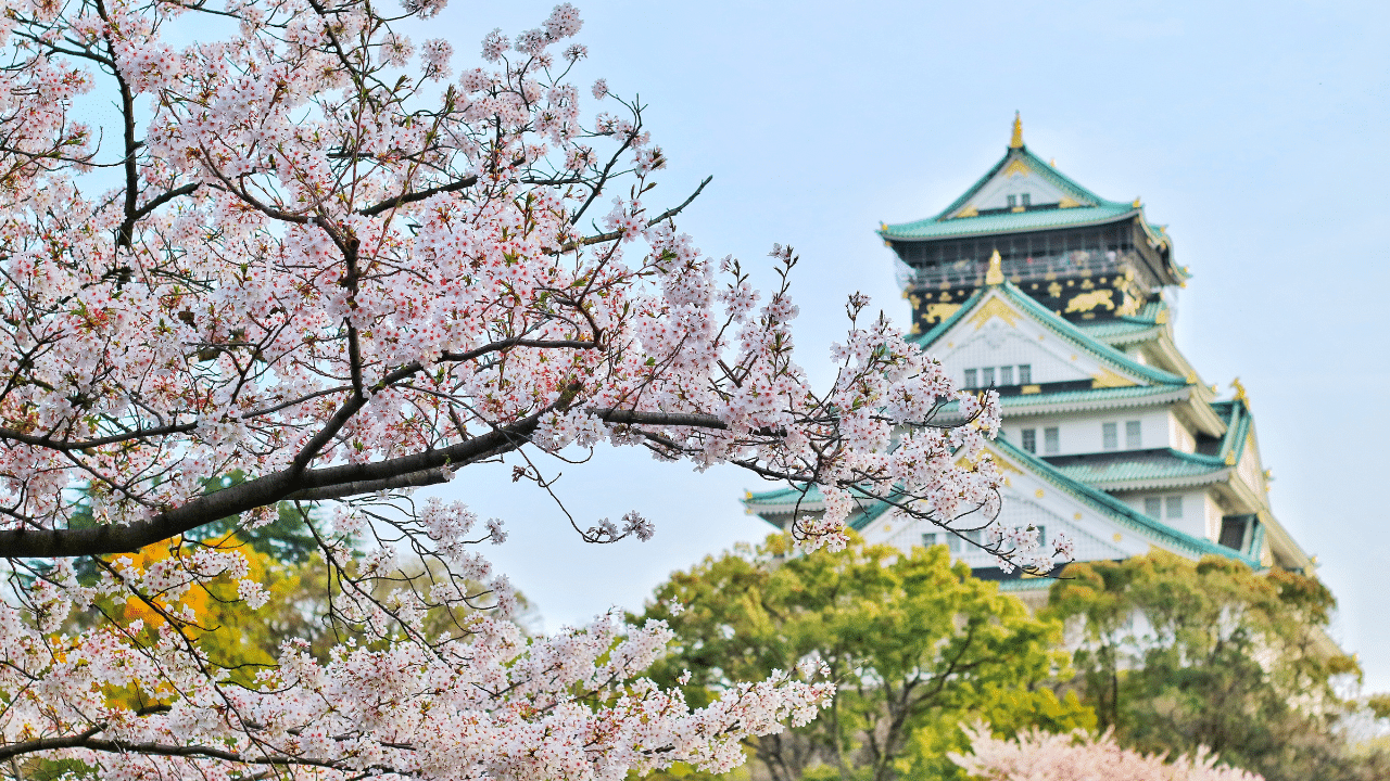 Jardines del Castillo de Osaka